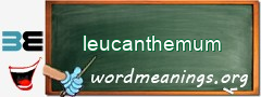 WordMeaning blackboard for leucanthemum